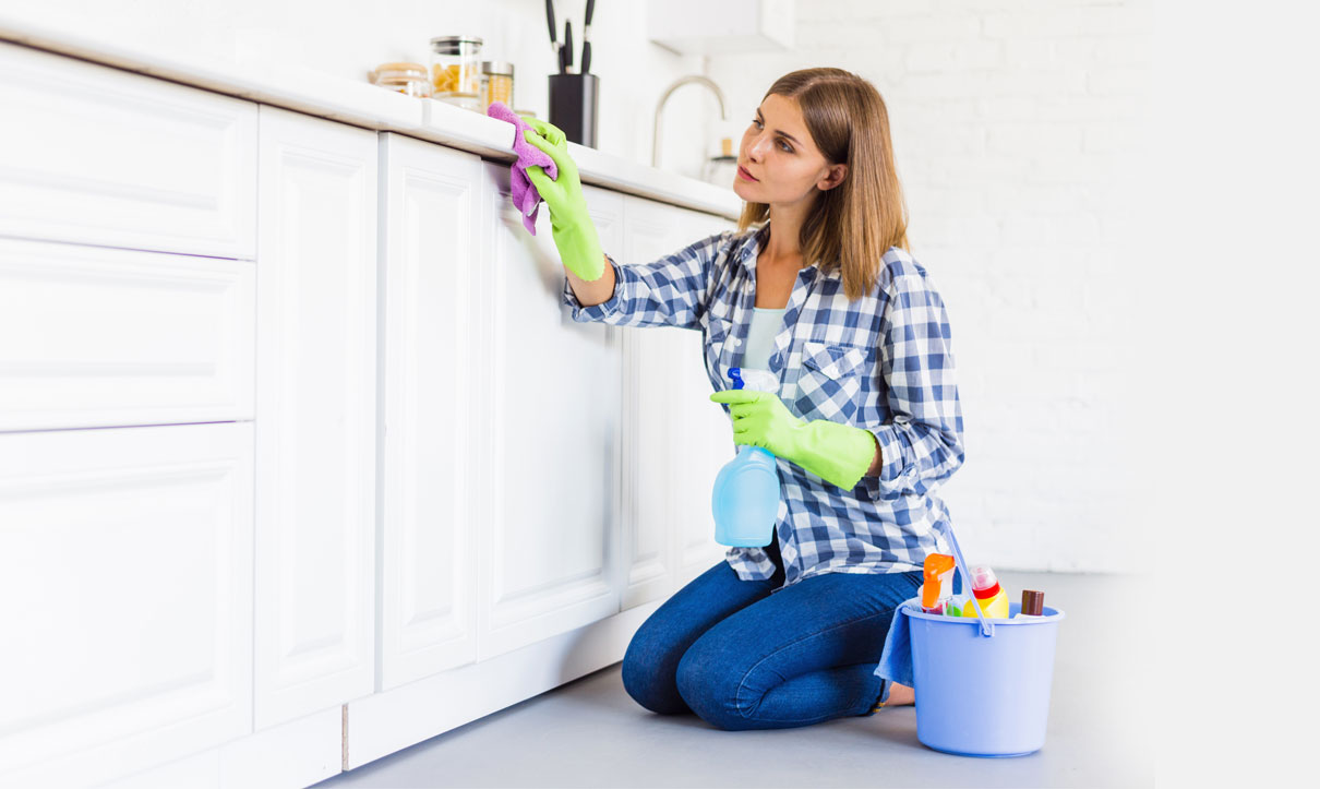 cleaning-service-theme 8