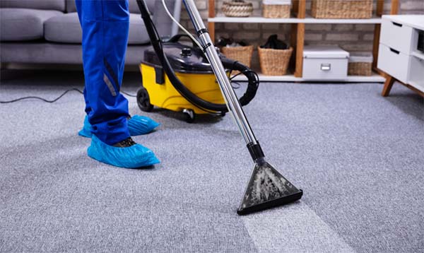 Area Rug Cleaning Services